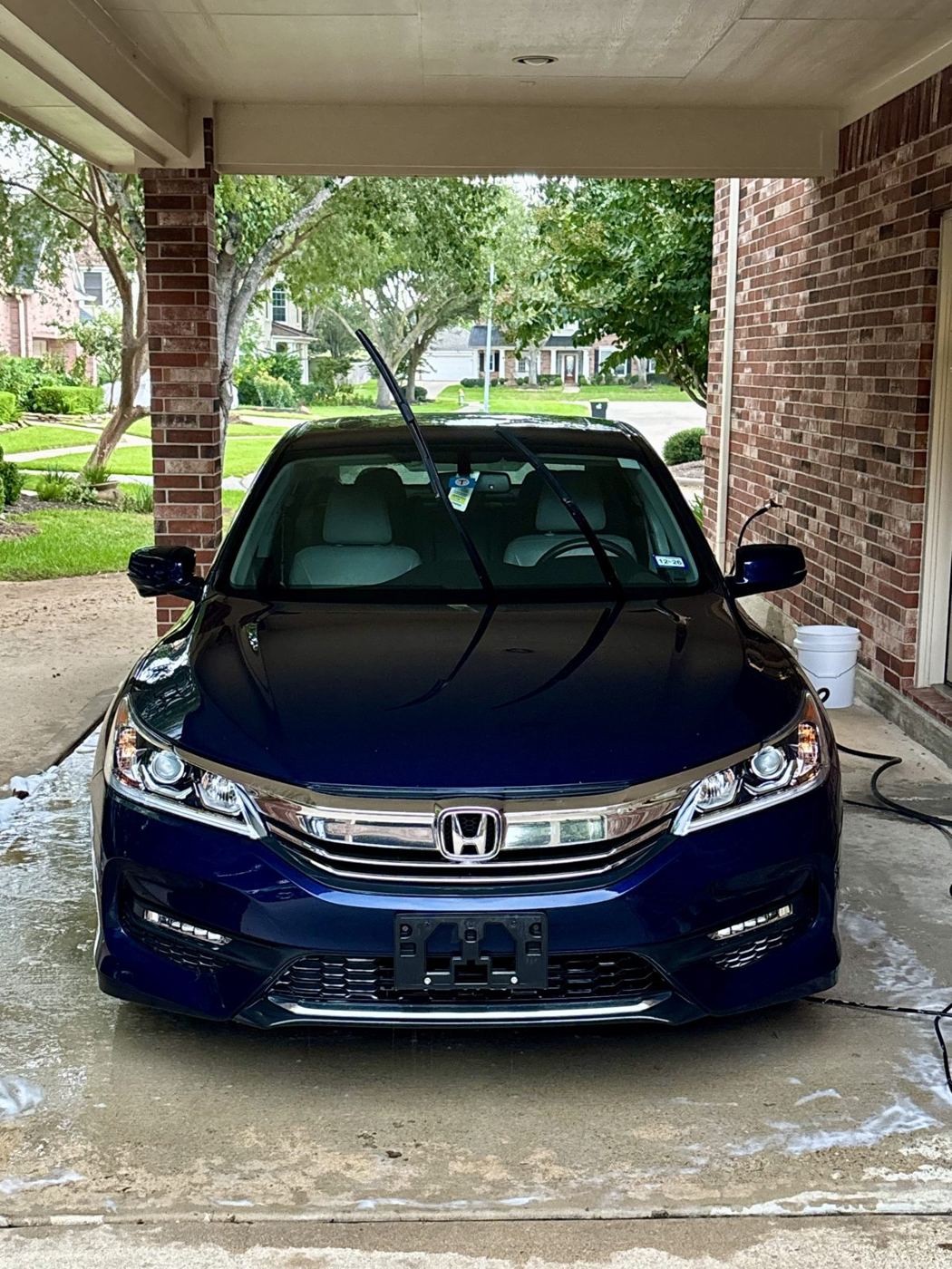 Freshly washed navy blue Honda Accord with a glossy hood under a carport